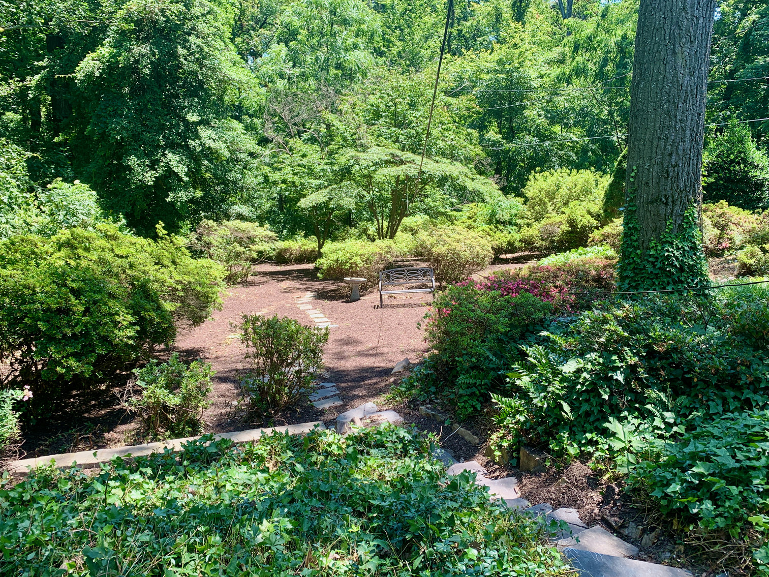 Image for 3 BR/2 BA Home in Alexandria, VA--Minutes from Reagan National Airport, Pentagon, DC, Amazon & More!!