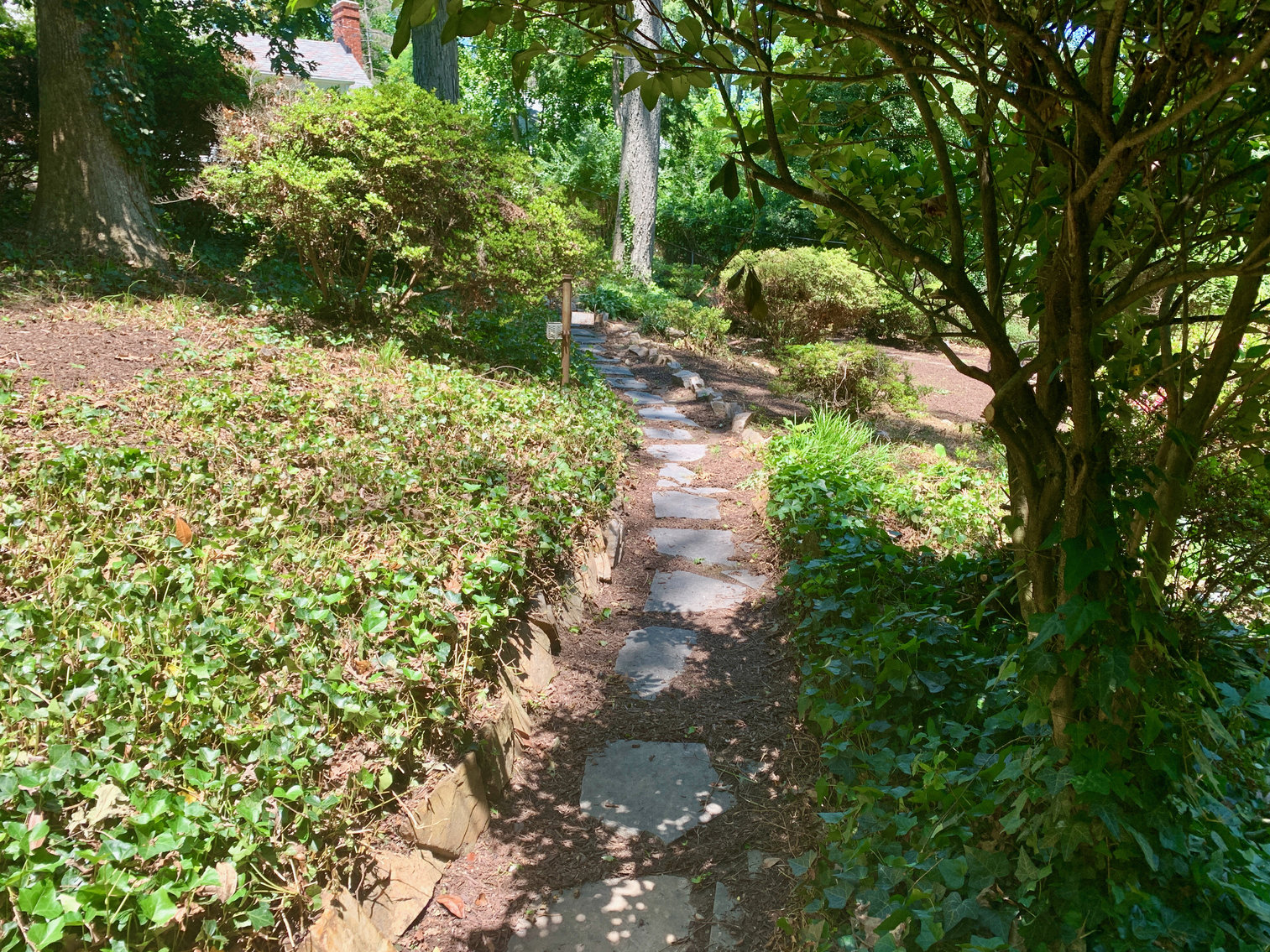 Image for 3 BR/2 BA Home in Alexandria, VA--Minutes from Reagan National Airport, Pentagon, DC, Amazon & More!!