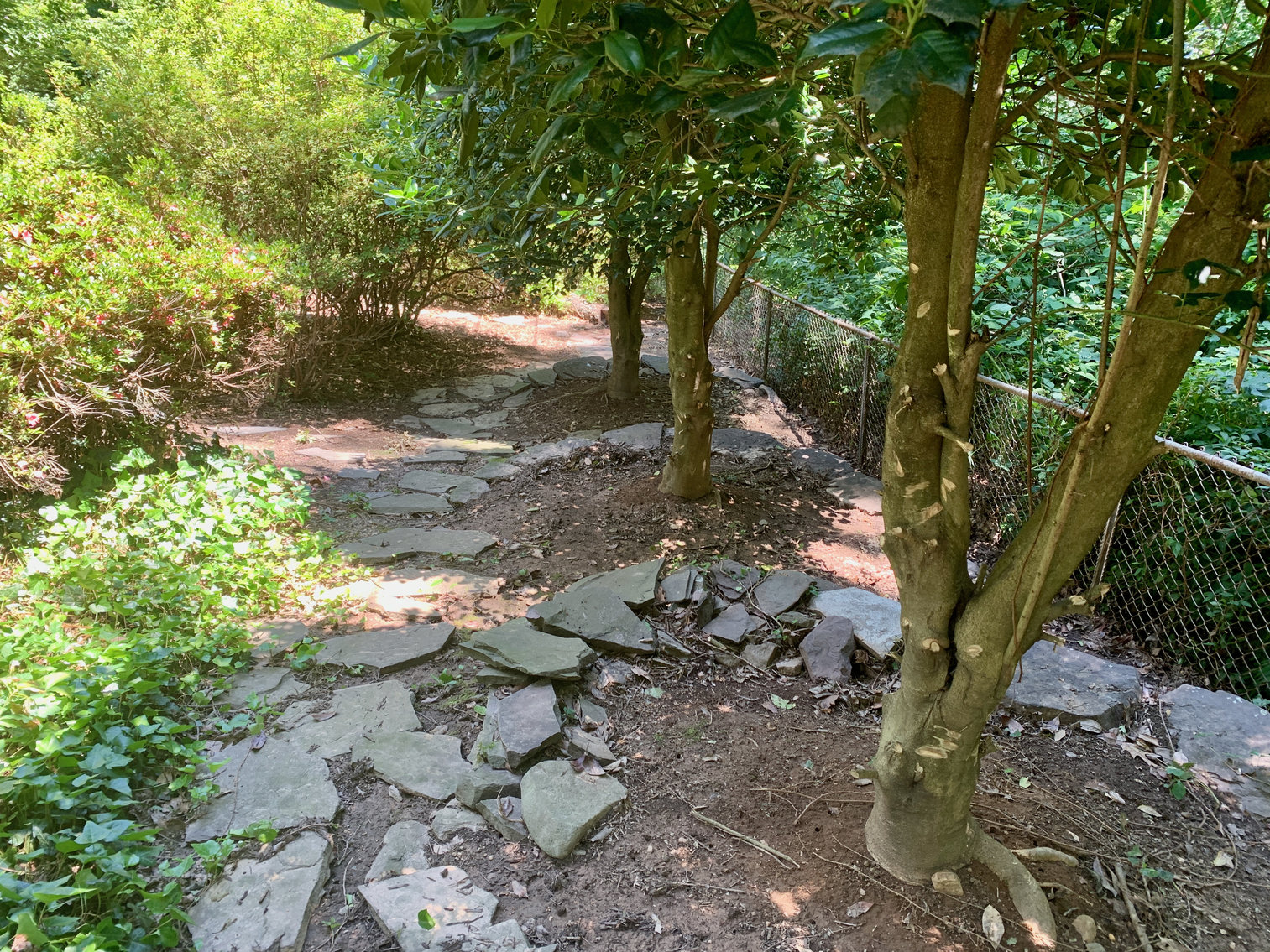 Image for 3 BR/2 BA Home in Alexandria, VA--Minutes from Reagan National Airport, Pentagon, DC, Amazon & More!!