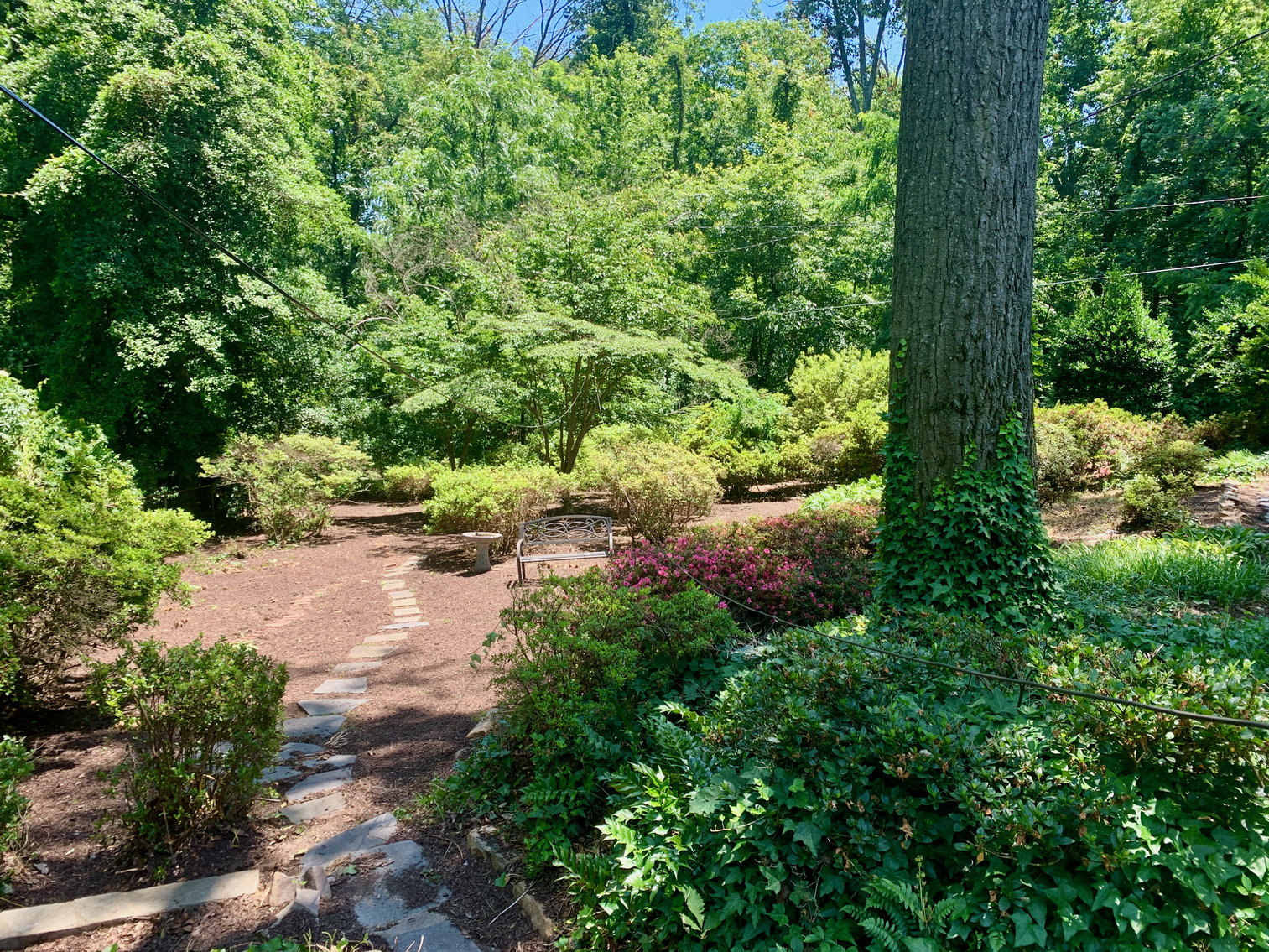 Image for 3 BR/2 BA Home in Alexandria, VA--Minutes from Reagan National Airport, Pentagon, DC, Amazon & More!!