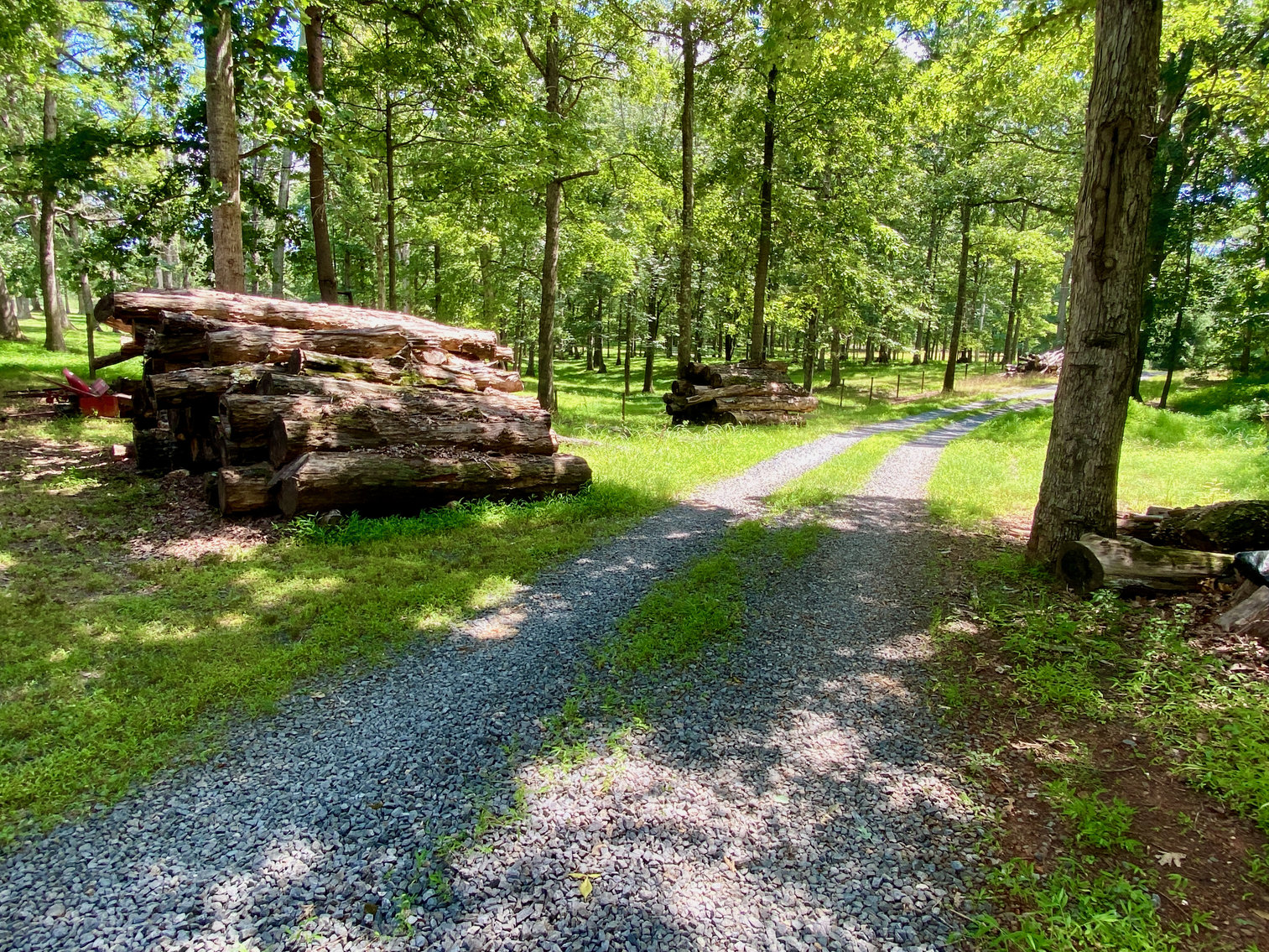 Image for 3 BR/3 BA Brick Home w/Outbuildings on 2.7 +/- Acres in Orange County, VA--SELLS to the HIGHEST BIDDER!!