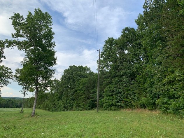 Image for Morgan Road, Rockvale