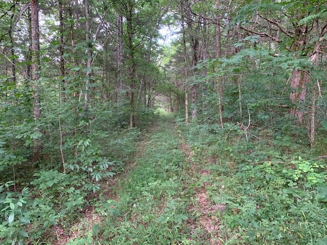 Image for Morgan Road, Rockvale