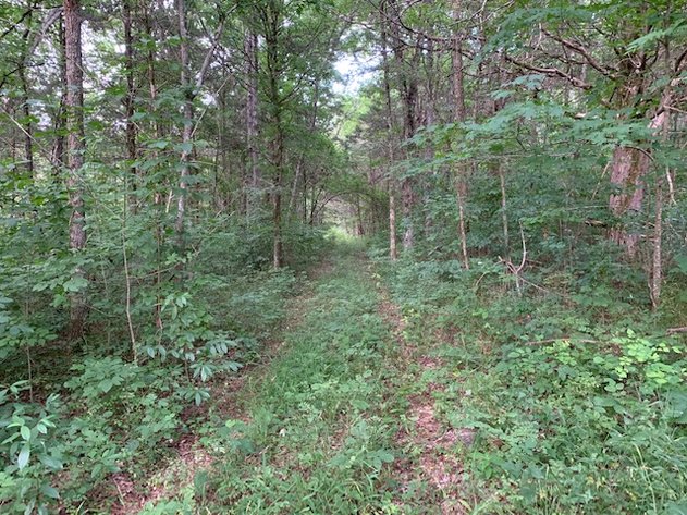 Image for Morgan Road, Rockvale