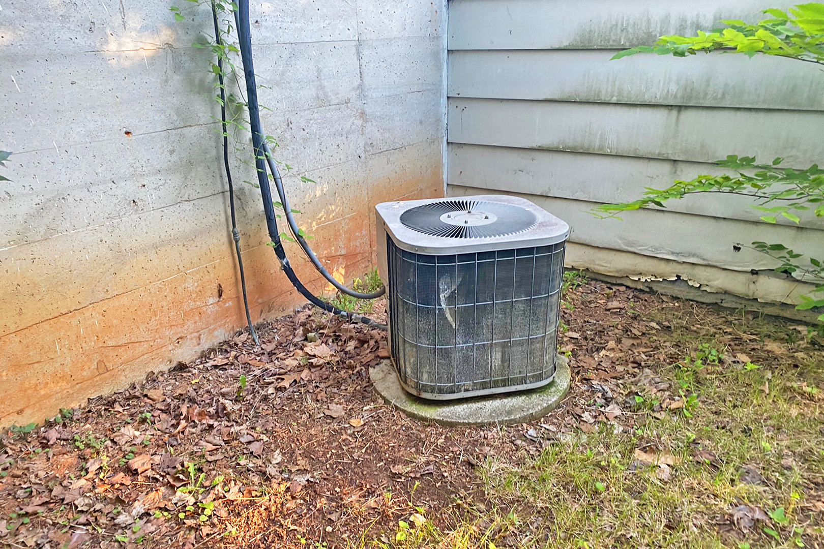 Image for PUBLIC AUCTION MONDAY - JULY 19, 10:00 A.M.