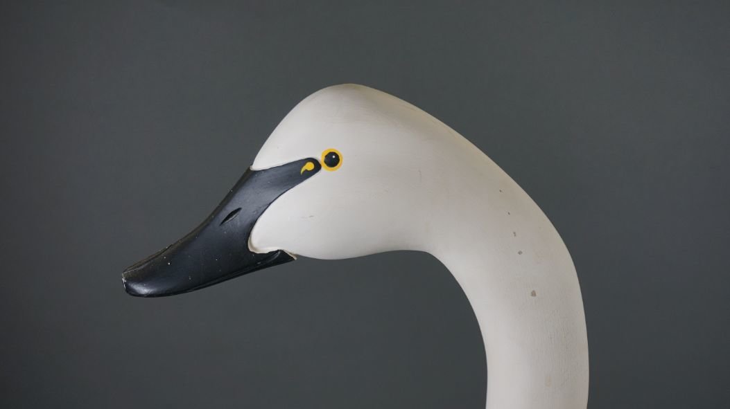 Image for July Online Sportsman's Auction 2021