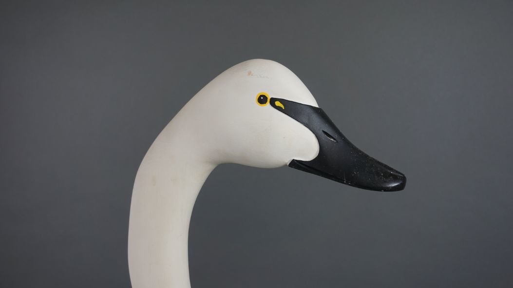 Image for July Online Sportsman's Auction 2021