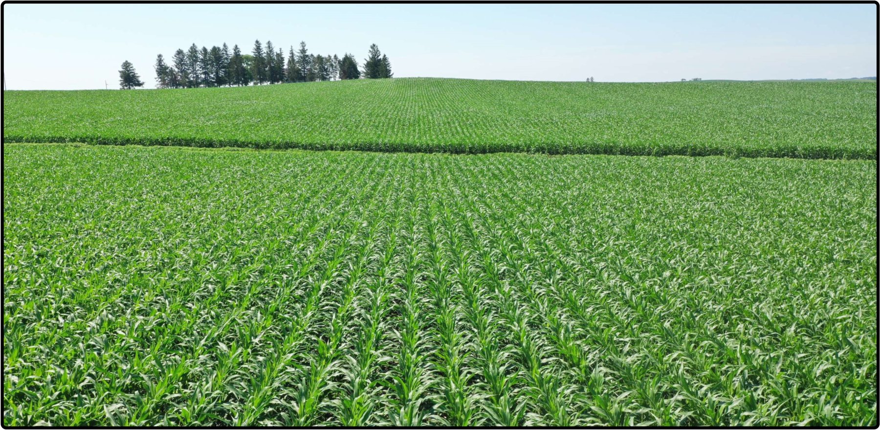 Image for SALE PENDING - Jones Co., IA - 151.99 Ac., m/l (010-2211)