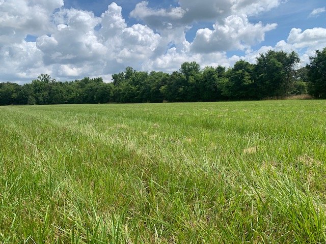 Image for 15075 Versailles Road, Rockvale