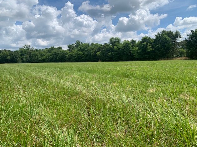 Image for 15075 Versailles Road, Rockvale