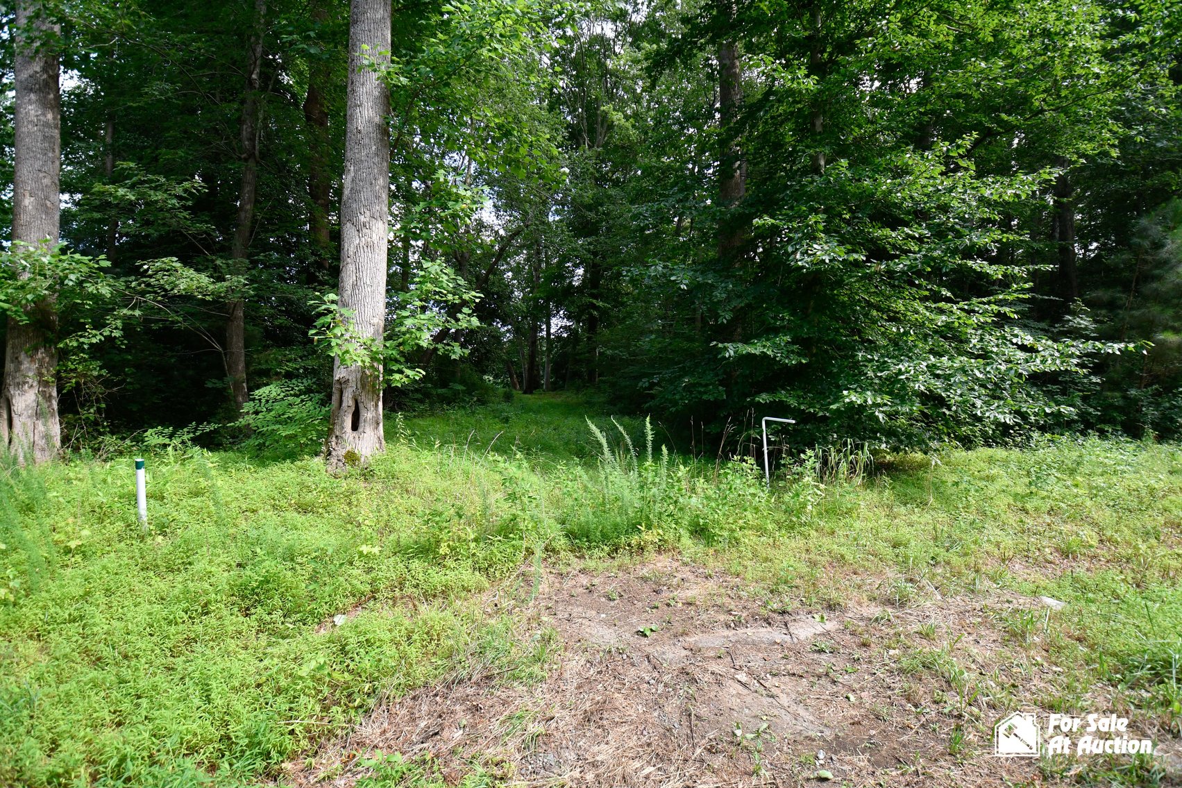 Image for Middlesex County Tax Delinquent Real Estate