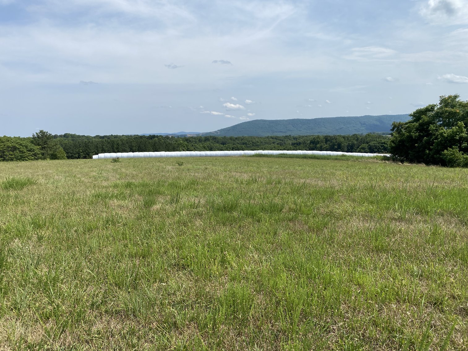 Image for Parcel 1 (9.59+/- acres) of 5 Individual Land Parcels Totaling 77.9 +/- Acres in Franklin County, VA, Only 10 Miles from Smith Mountain Lake--ONLINE ONLY BIDDING!!