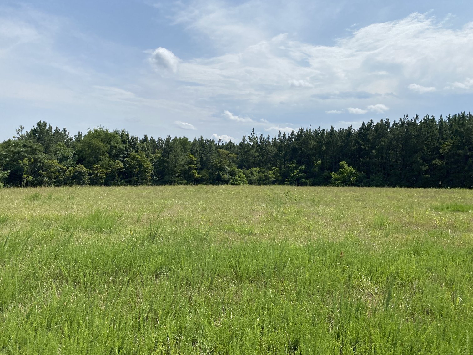 Image for Parcel 1 (9.59+/- acres) of 5 Individual Land Parcels Totaling 77.9 +/- Acres in Franklin County, VA, Only 10 Miles from Smith Mountain Lake--ONLINE ONLY BIDDING!!