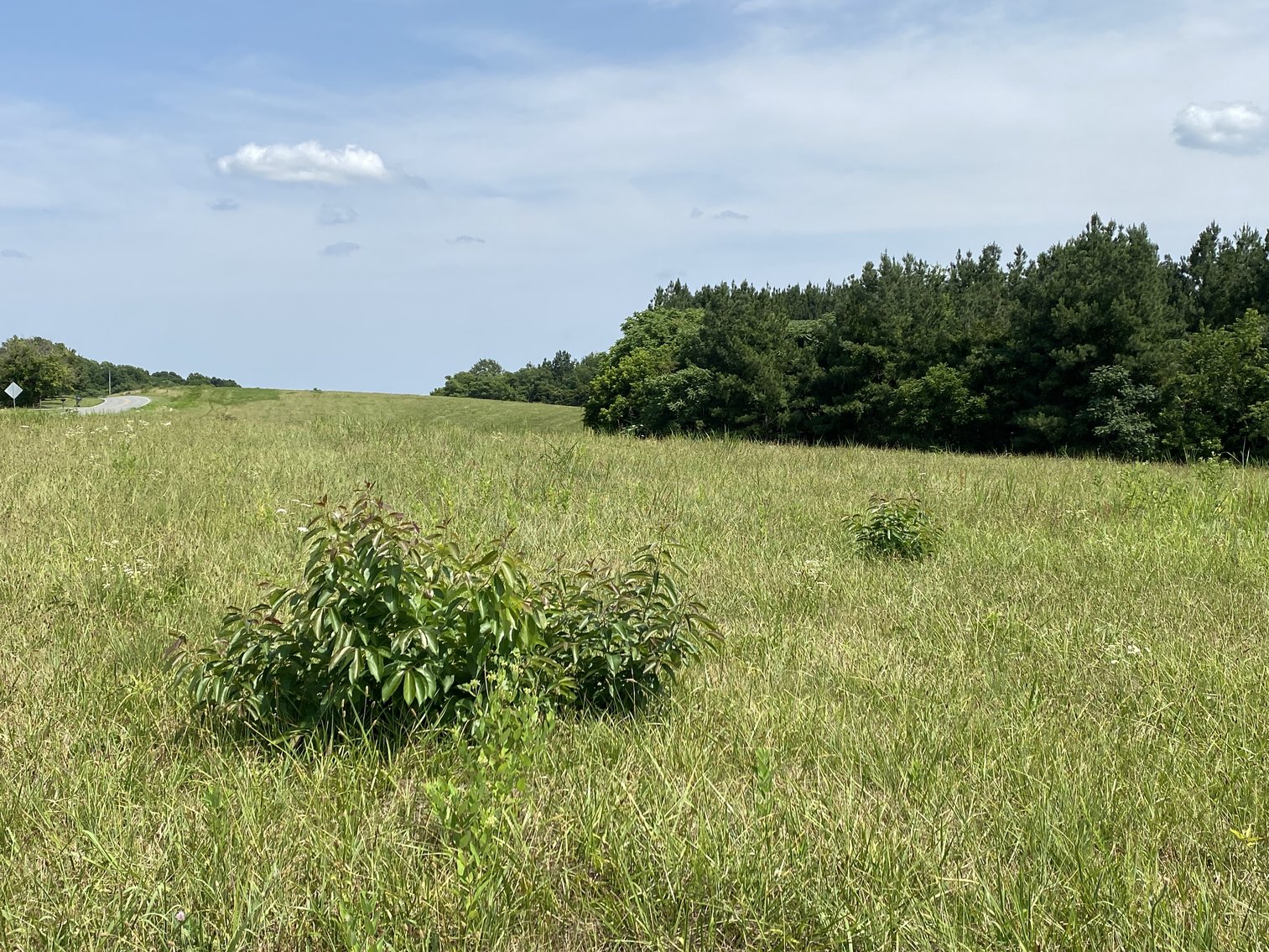 Image for Parcel 1 (9.59+/- acres) of 5 Individual Land Parcels Totaling 77.9 +/- Acres in Franklin County, VA, Only 10 Miles from Smith Mountain Lake--ONLINE ONLY BIDDING!!