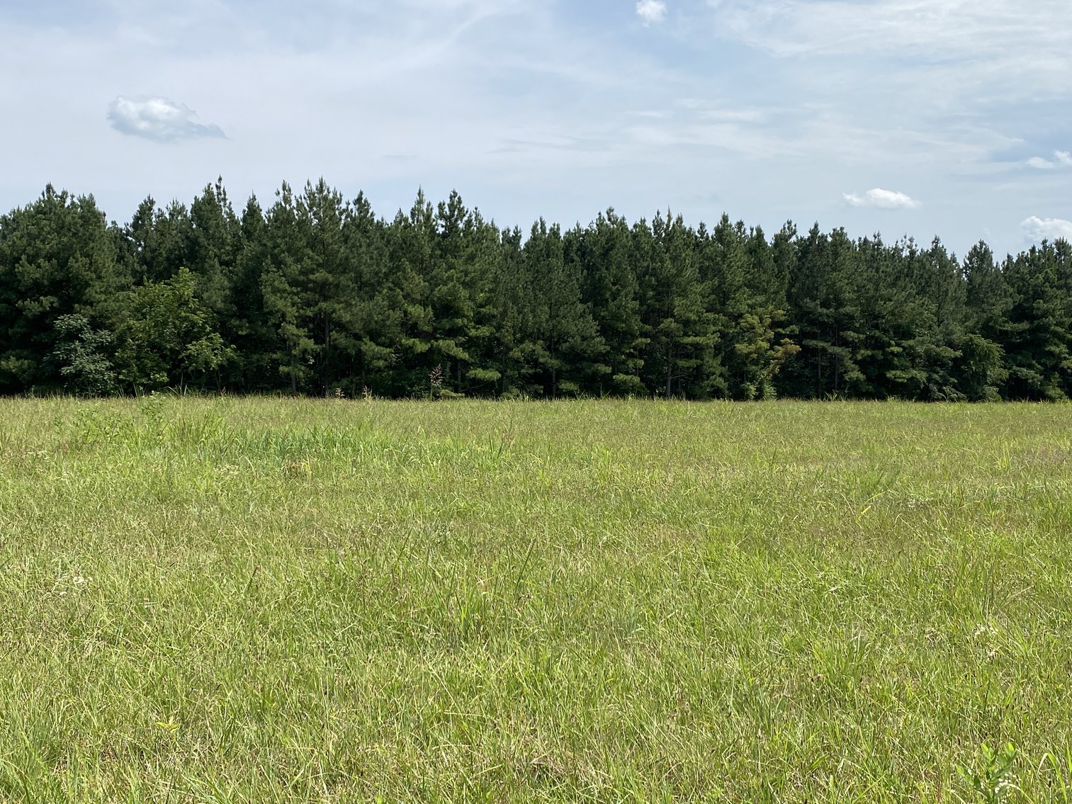 Image for Parcel 1 (9.59+/- acres) of 5 Individual Land Parcels Totaling 77.9 +/- Acres in Franklin County, VA, Only 10 Miles from Smith Mountain Lake--ONLINE ONLY BIDDING!!