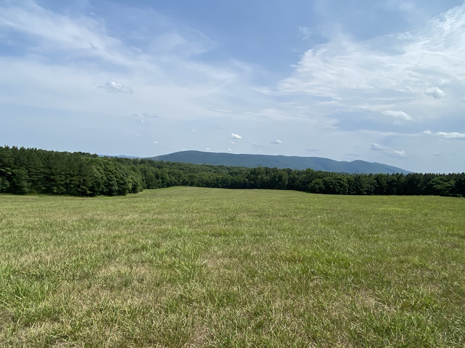 Image for Parcel 1 (9.59+/- acres) of 5 Individual Land Parcels Totaling 77.9 +/- Acres in Franklin County, VA, Only 10 Miles from Smith Mountain Lake--ONLINE ONLY BIDDING!!