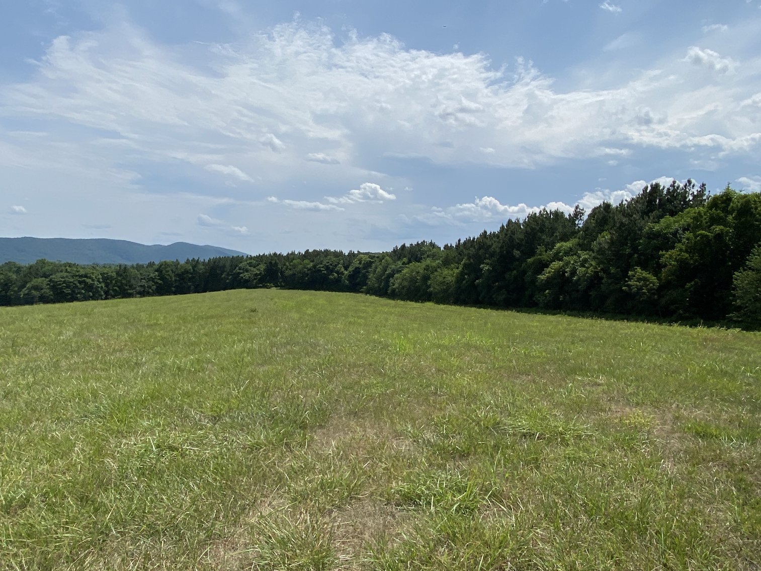 Image for Parcel 1 (9.59+/- acres) of 5 Individual Land Parcels Totaling 77.9 +/- Acres in Franklin County, VA, Only 10 Miles from Smith Mountain Lake--ONLINE ONLY BIDDING!!