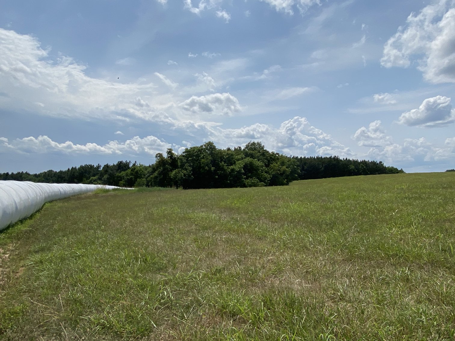 Image for Parcel 1 (9.59+/- acres) of 5 Individual Land Parcels Totaling 77.9 +/- Acres in Franklin County, VA, Only 10 Miles from Smith Mountain Lake--ONLINE ONLY BIDDING!!