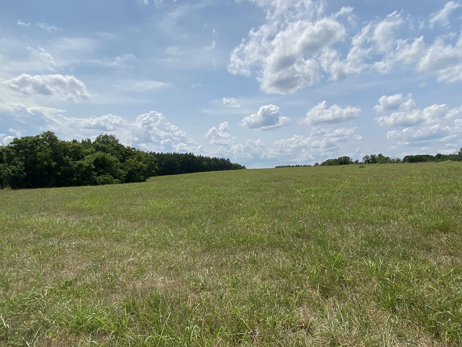 Image for Parcel 1 (9.59+/- acres) of 5 Individual Land Parcels Totaling 77.9 +/- Acres in Franklin County, VA, Only 10 Miles from Smith Mountain Lake--ONLINE ONLY BIDDING!!