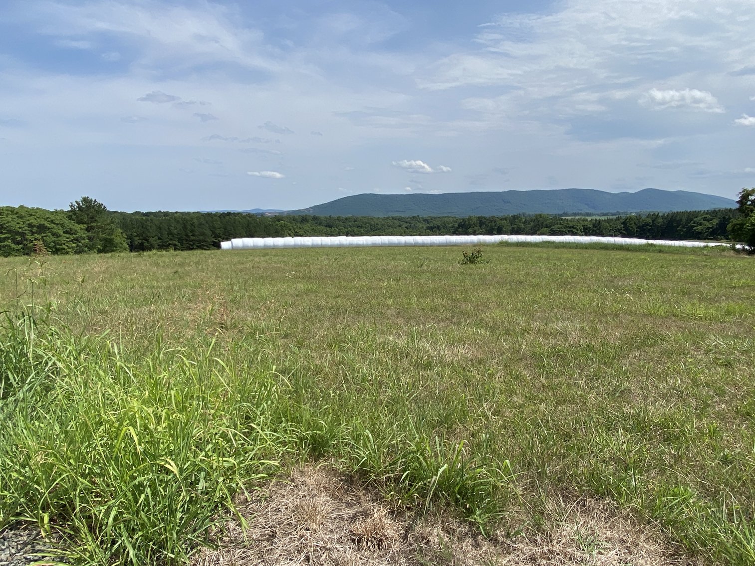 Image for Parcel 1 (9.59+/- acres) of 5 Individual Land Parcels Totaling 77.9 +/- Acres in Franklin County, VA, Only 10 Miles from Smith Mountain Lake--ONLINE ONLY BIDDING!!