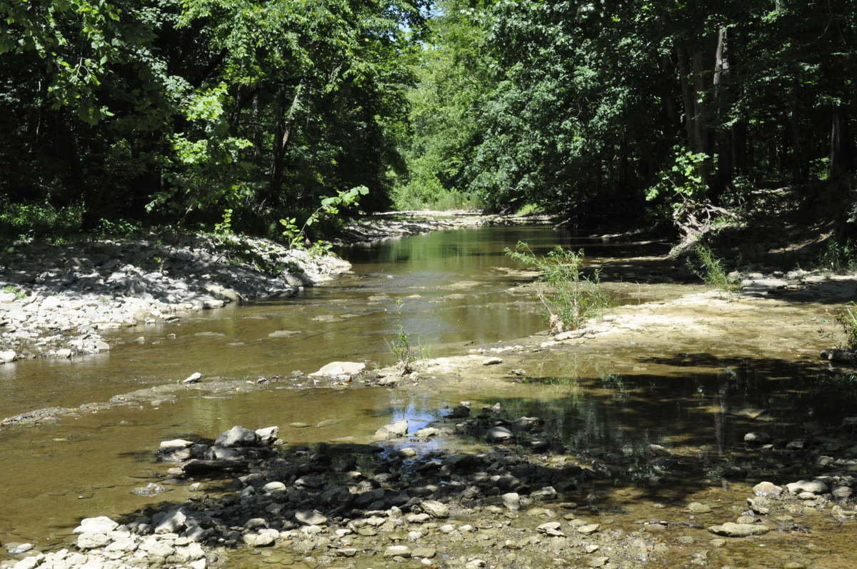 Image for Real Estate Auction – 5 Acres, 4 Bdr. Home, 4 Stall Horse Barn, Pond, Creek, Near Broad Run and Turkey Run Parks