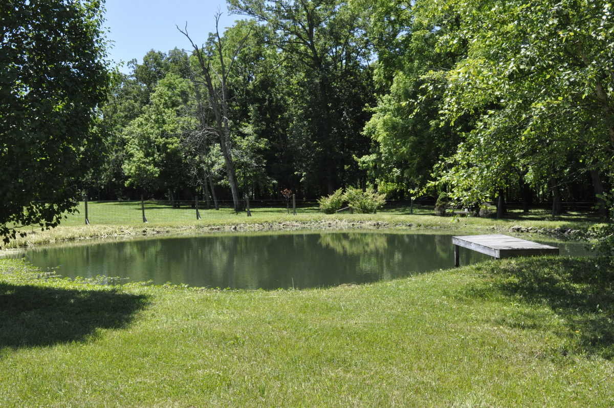 Image for Real Estate Auction – 5 Acres, 4 Bdr. Home, 4 Stall Horse Barn, Pond, Creek, Near Broad Run and Turkey Run Parks