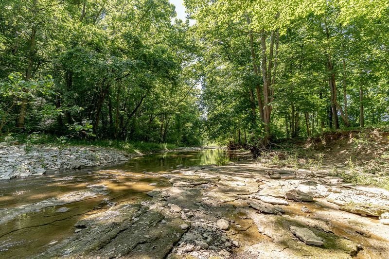 Image for Real Estate Auction – 5 Acres, 4 Bdr. Home, 4 Stall Horse Barn, Pond, Creek, Near Broad Run and Turkey Run Parks