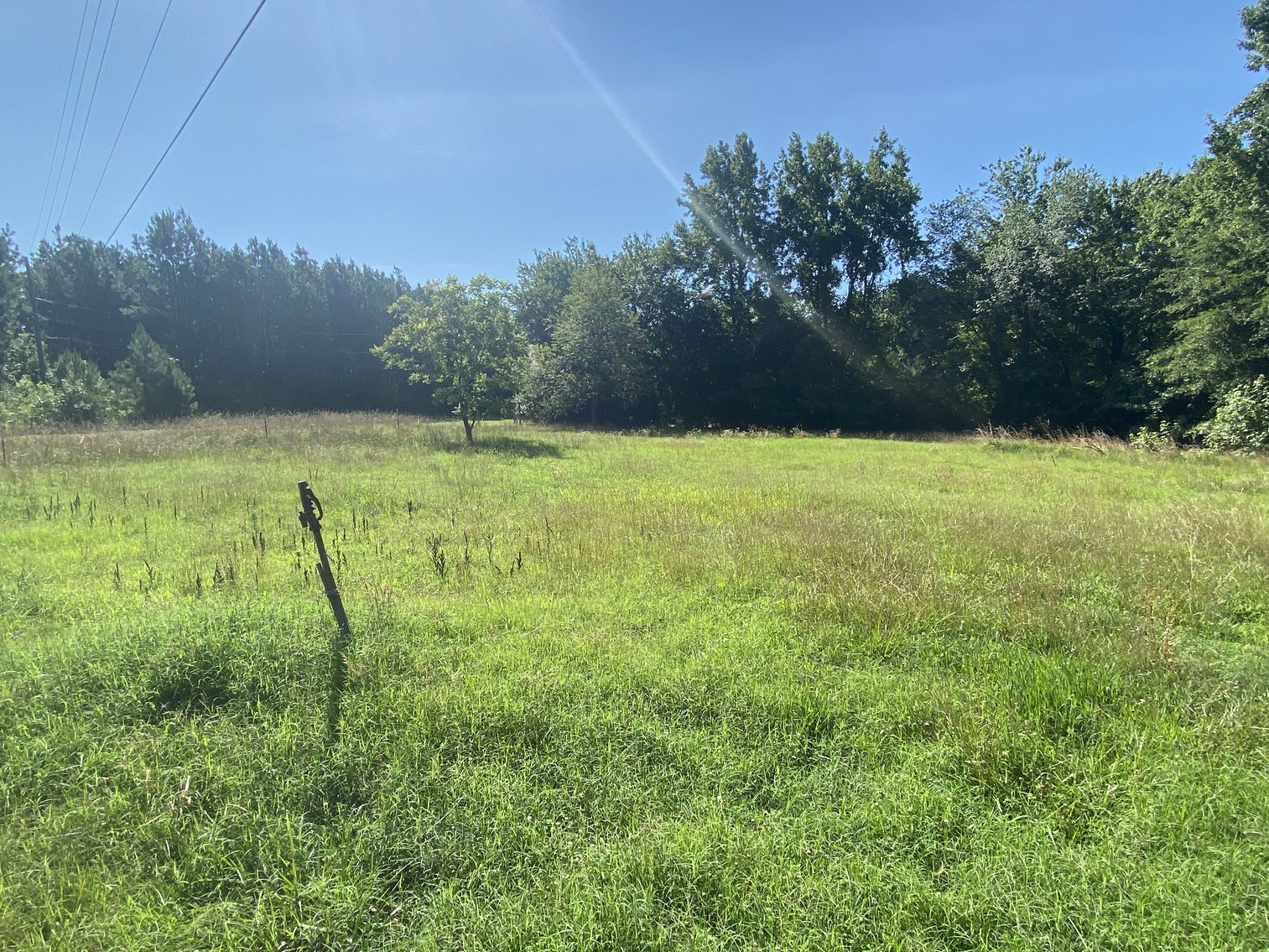 Image for Chesterfield Residential Renovation/Redevelopment Opportunity - 1 BR / 1 BA Single Family Home – 1 AC Lot Near Pocahontas State Park & Lake Chesdin – 9707 Cattail Rd., Chesterfield, VA 23838