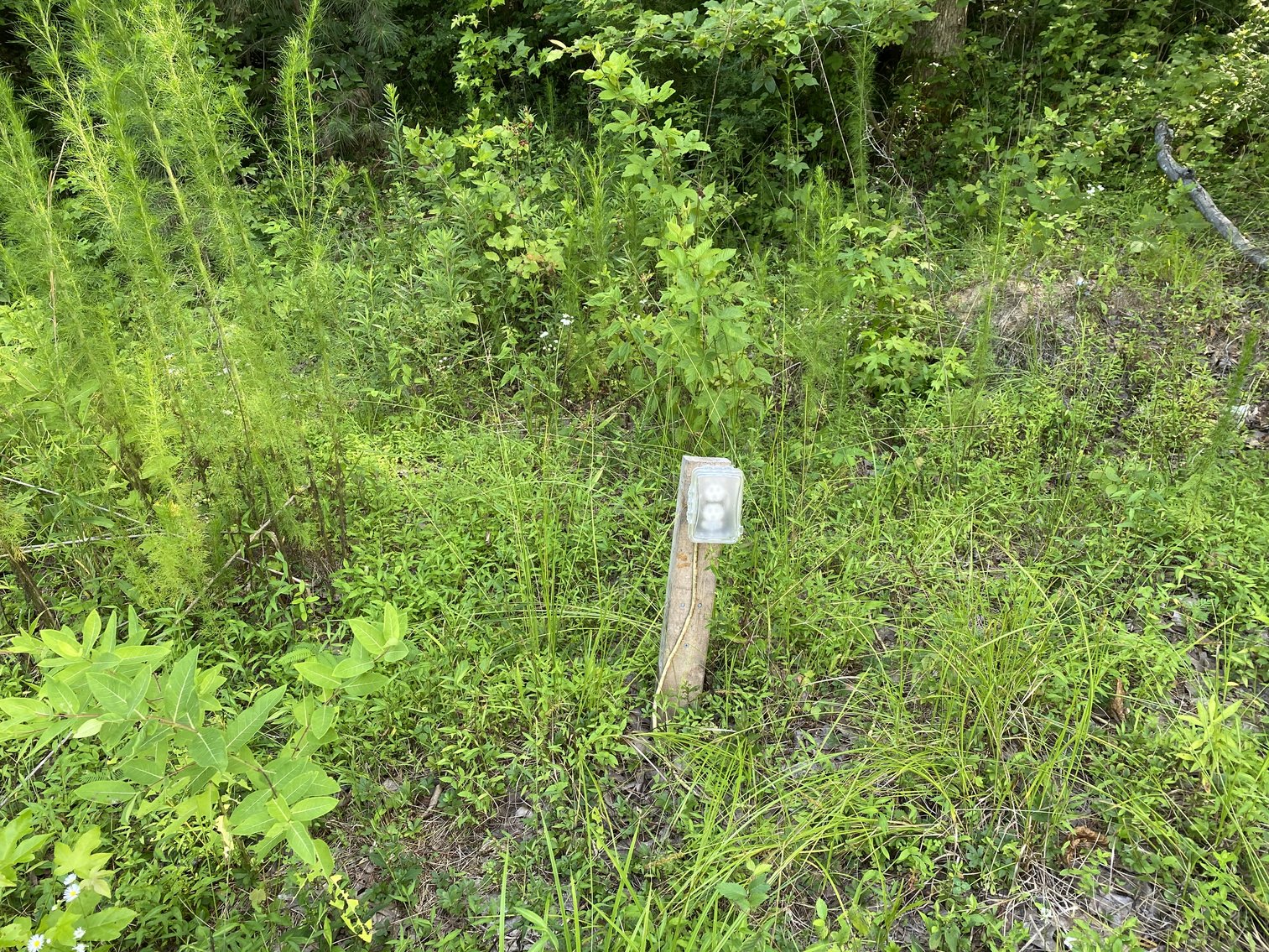 Image for 9+/- ACRES - 5,400 SF Warehouse/Garage - Powhatan County - Convenient Location, Private Setting - 1187 Bradbury Rd. Powhatan, VA 23120