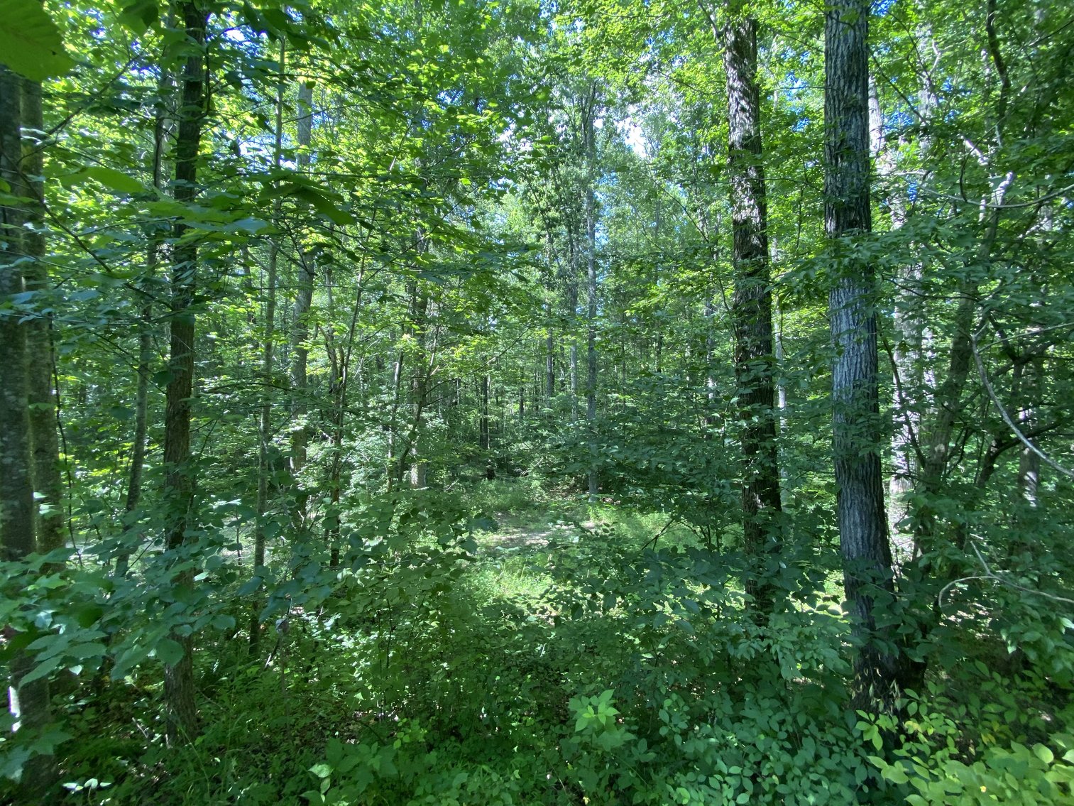 Image for 9+/- ACRES - 5,400 SF Warehouse/Garage - Powhatan County - Convenient Location, Private Setting - 1187 Bradbury Rd. Powhatan, VA 23120