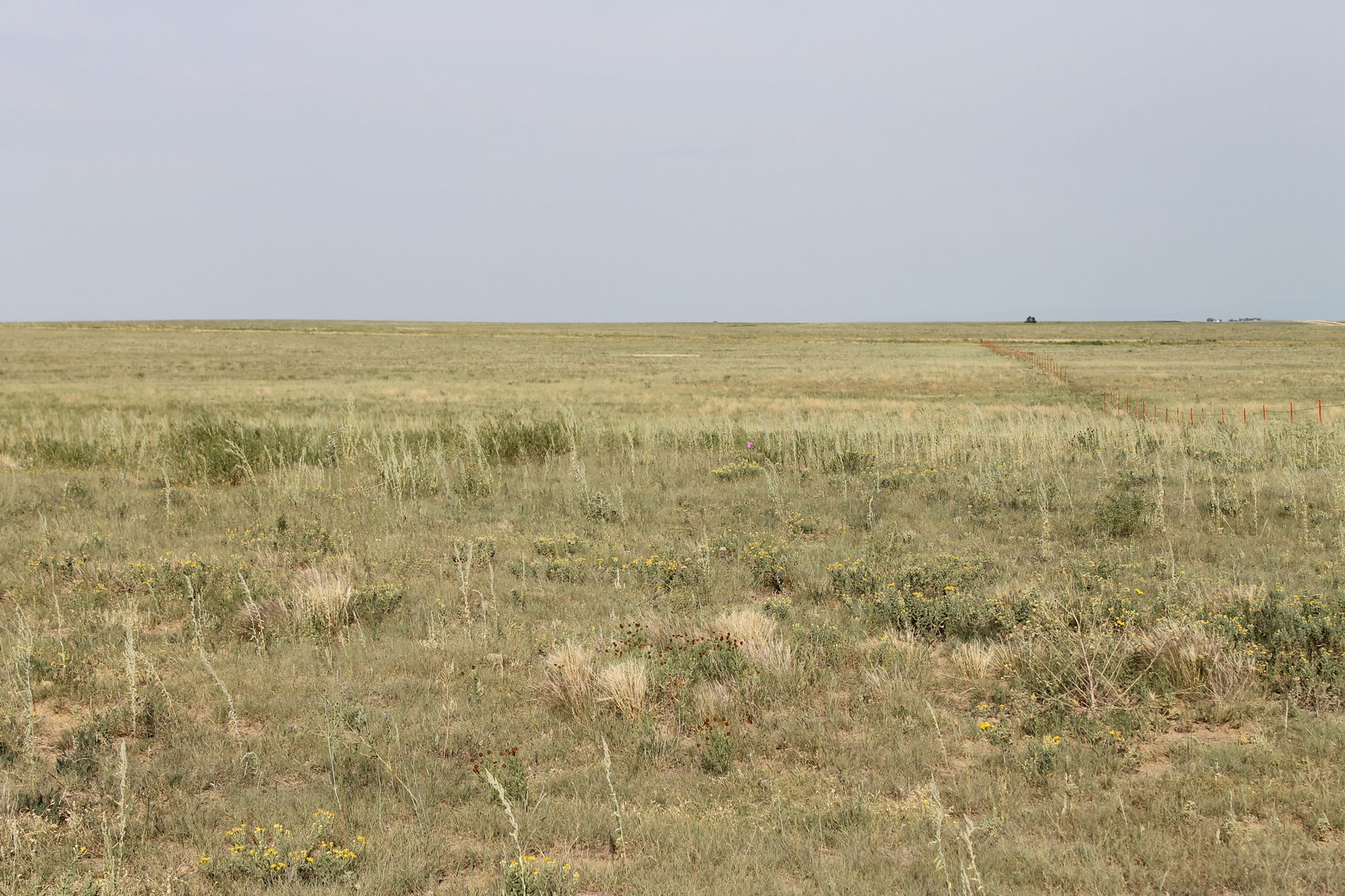 Image for LINCOLN COUNTY, CO - NATIVE RANGELAND/GRASSLAND {C4065}