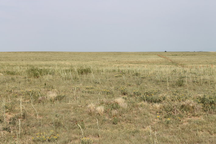 Image for LINCOLN COUNTY, CO - NATIVE RANGELAND/GRASSLAND {C4065}