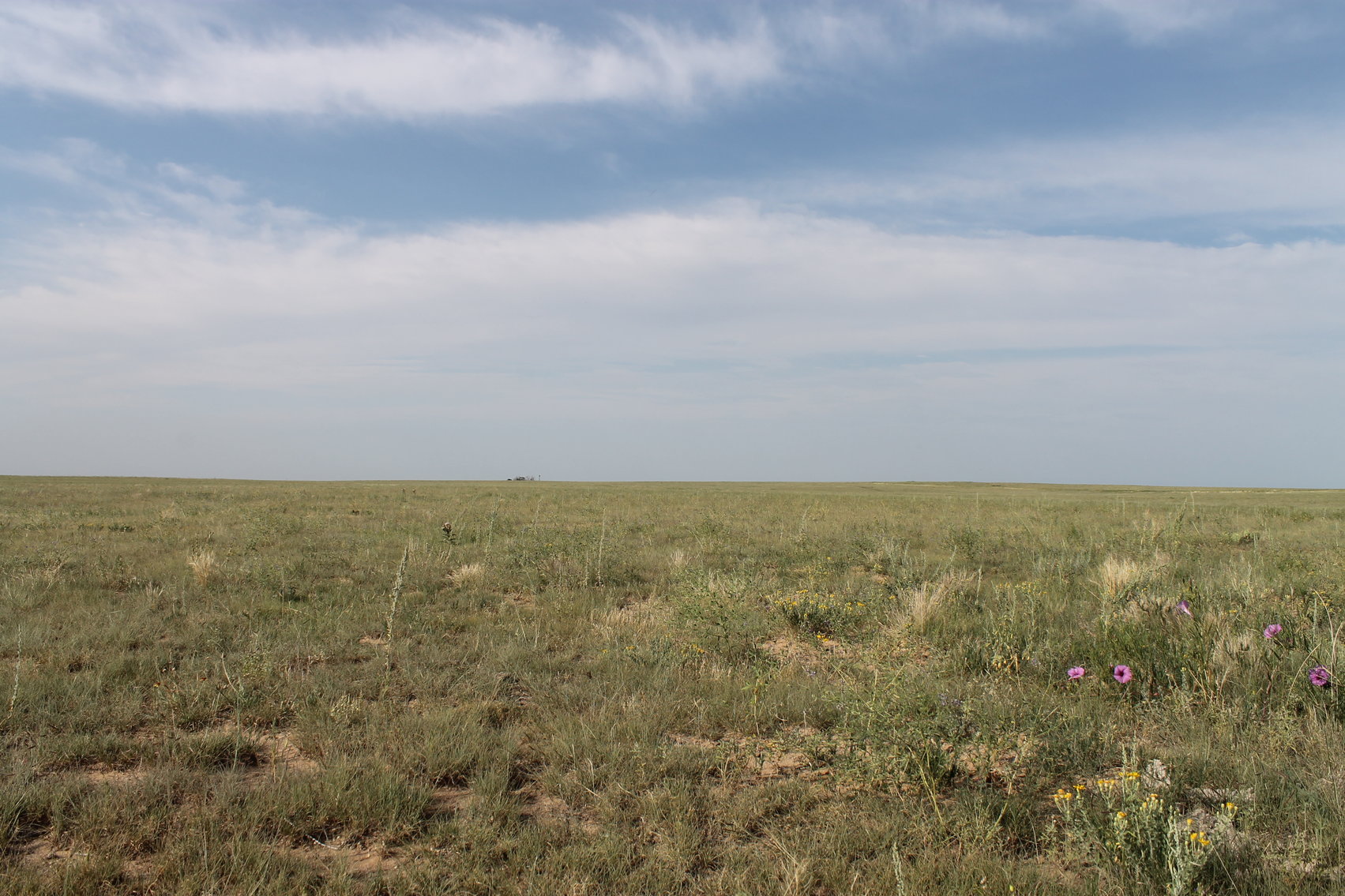 Image for LINCOLN COUNTY, CO - NATIVE RANGELAND/GRASSLAND {C4065}