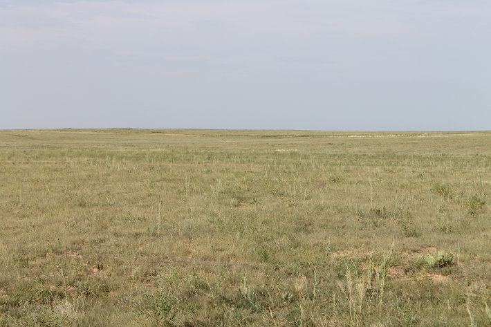 Image for LINCOLN COUNTY, CO - NATIVE RANGELAND/GRASSLAND {C4065}
