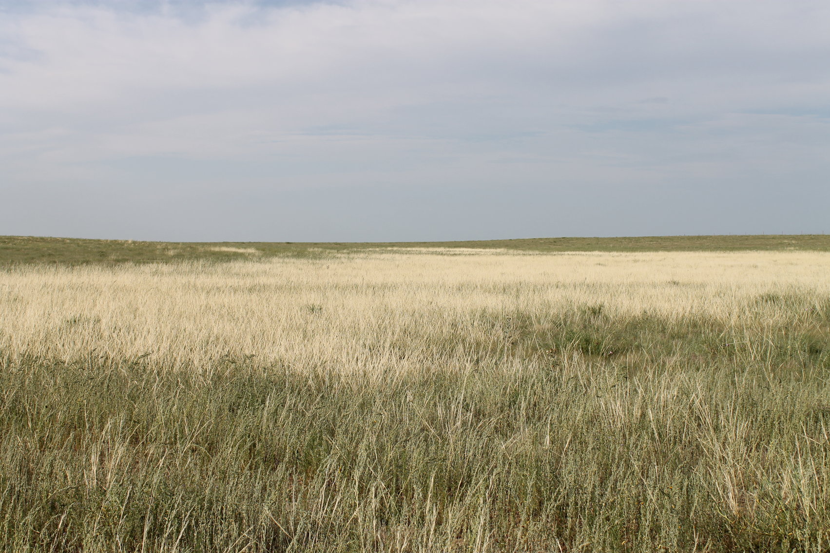 Image for LINCOLN COUNTY, CO - NATIVE RANGELAND/GRASSLAND {C4065}