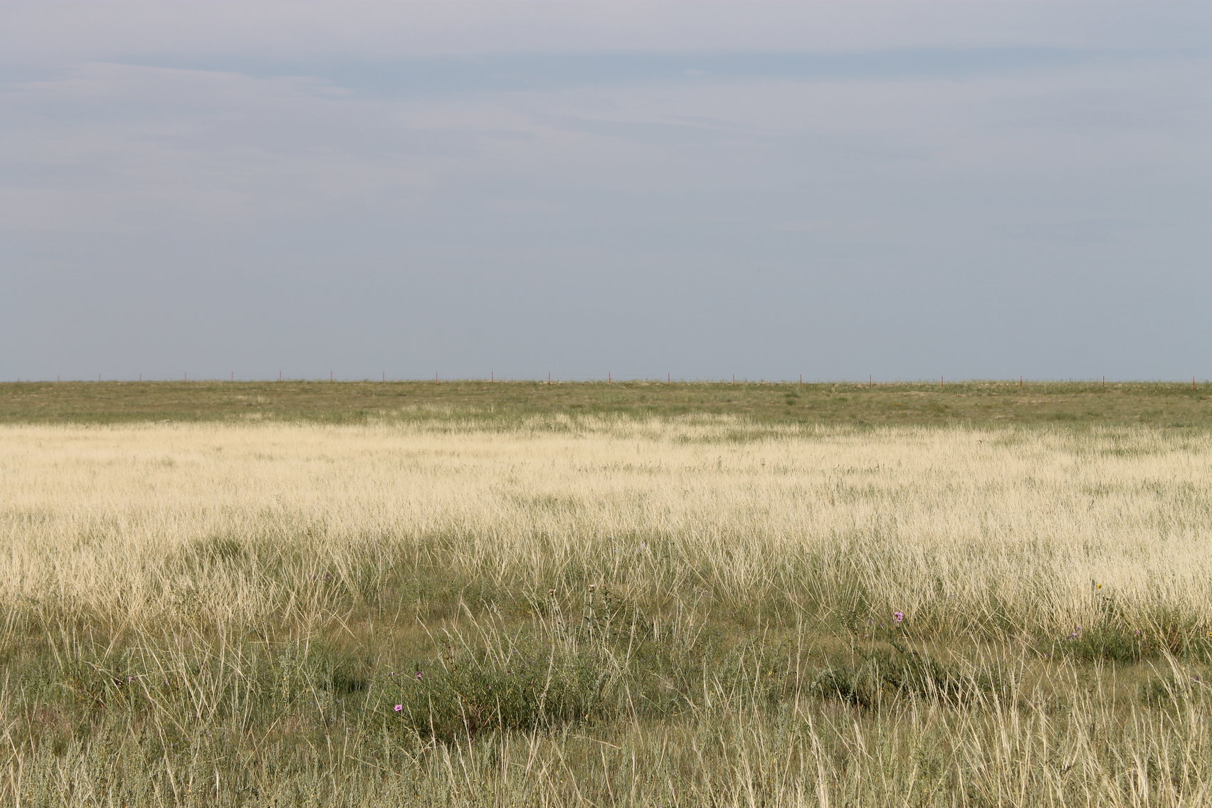 Image for LINCOLN COUNTY, CO - NATIVE RANGELAND/GRASSLAND {C4065}