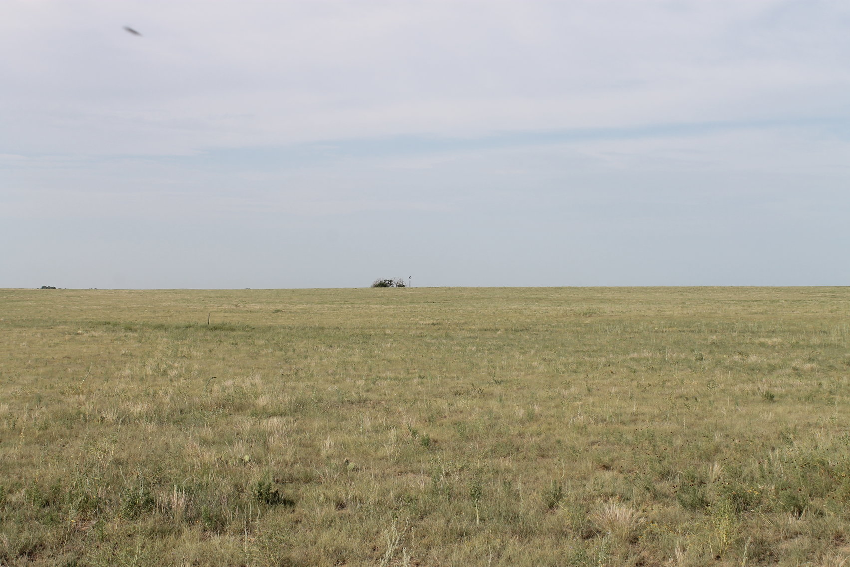 Image for LINCOLN COUNTY, CO - NATIVE RANGELAND/GRASSLAND {C4065}