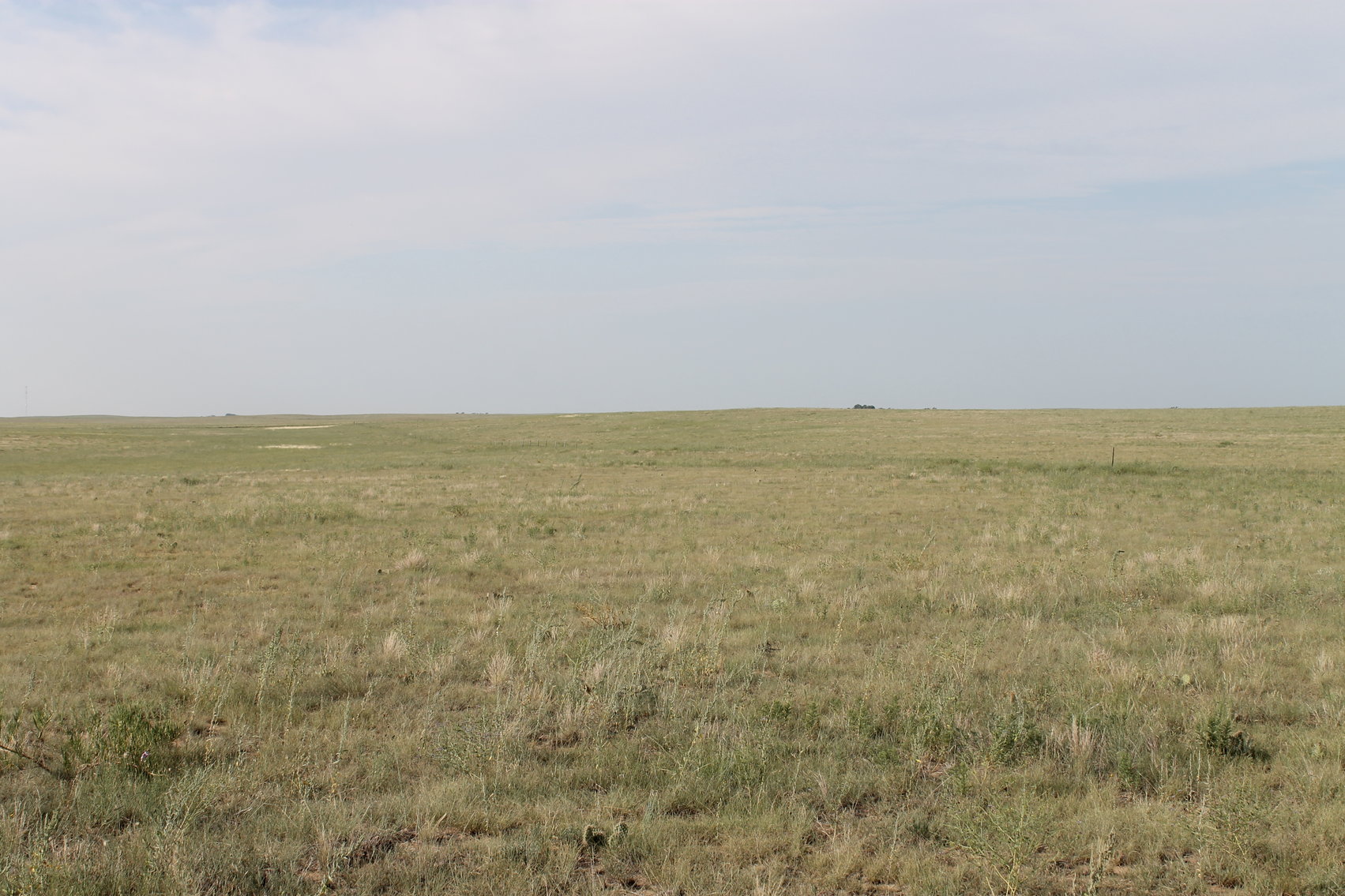 Image for LINCOLN COUNTY, CO - NATIVE RANGELAND/GRASSLAND {C4065}