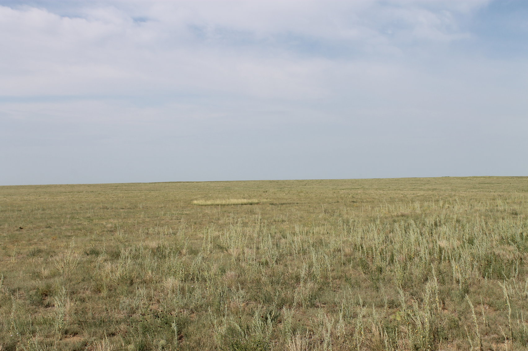 Image for LINCOLN COUNTY, CO - NATIVE RANGELAND/GRASSLAND {C4065}