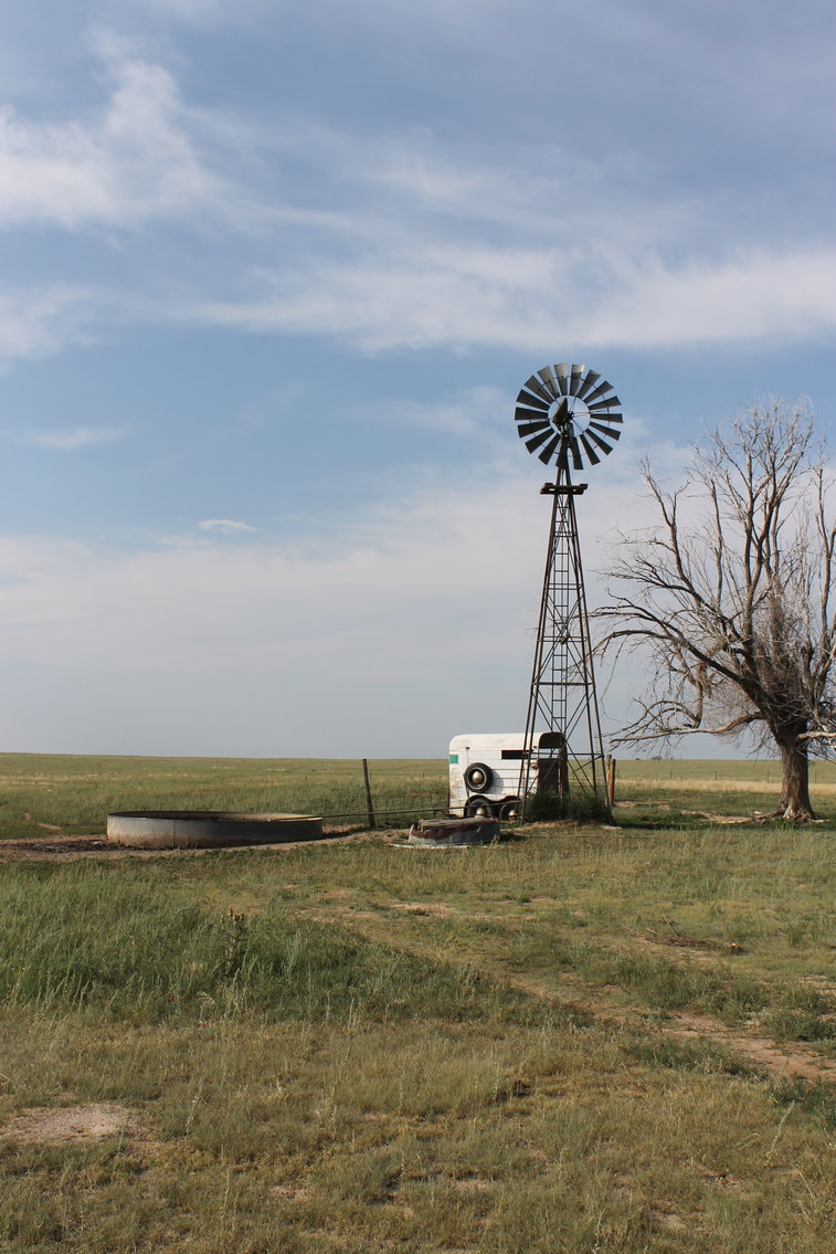 Image for LINCOLN COUNTY, CO - NATIVE RANGELAND/GRASSLAND {C4065}