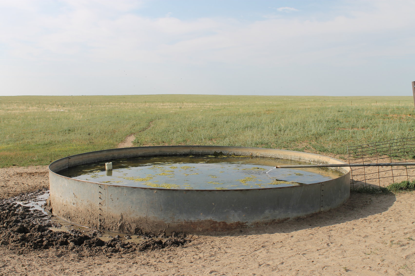 Image for LINCOLN COUNTY, CO - NATIVE RANGELAND/GRASSLAND {C4065}