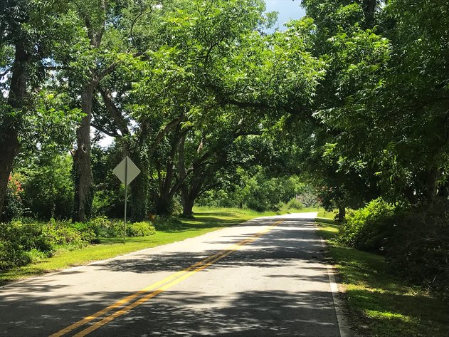 Image for LIVE AUCTION - August 26, 2021