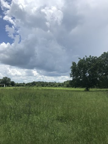 Image for LIVE AUCTION - August 26, 2021