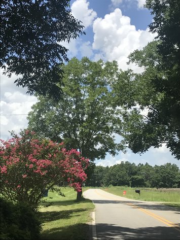 Image for LIVE AUCTION - August 26, 2021