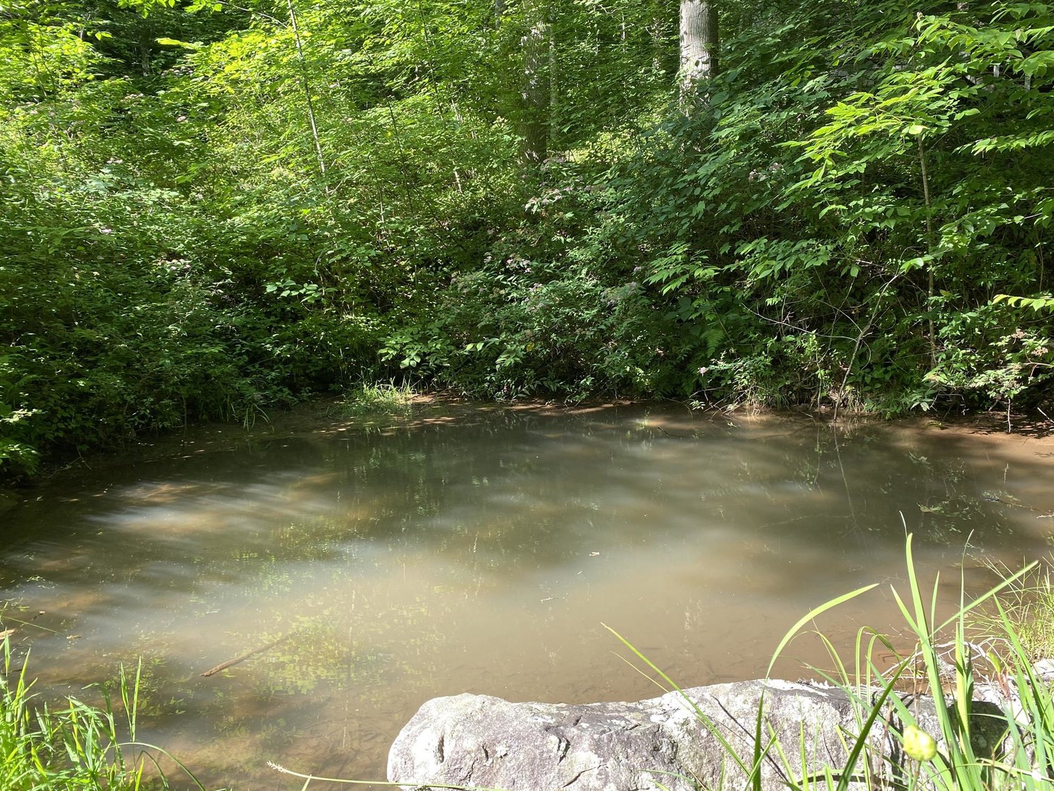 Image for SOLD $209,000 - Must-See 5 Bedroom on 10 Acres