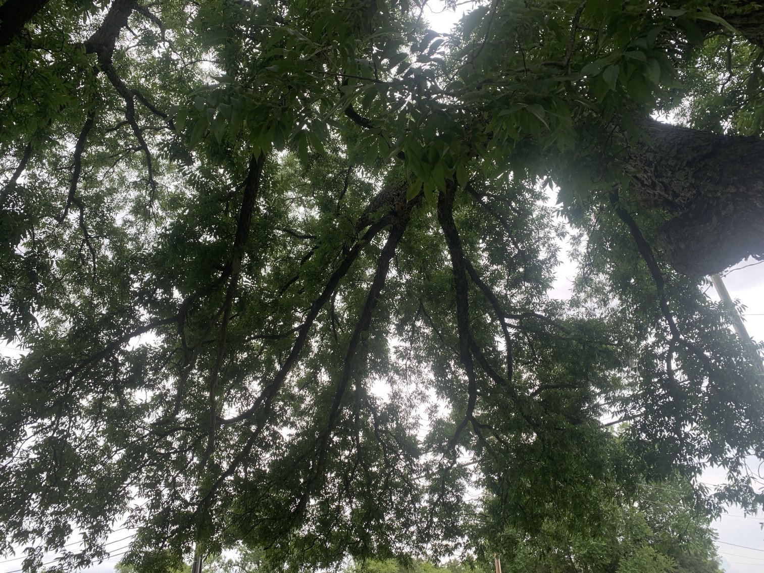 Image for 5349 Woodbury Pike, Murfreesboro