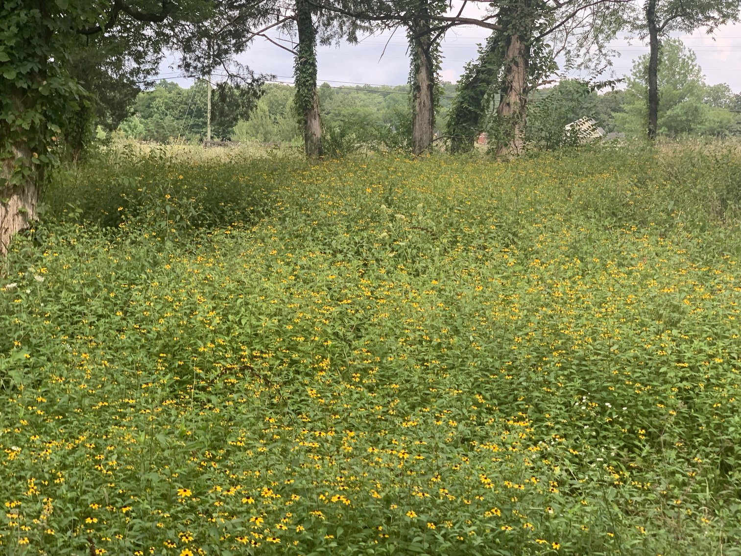 Image for 5349 Woodbury Pike, Murfreesboro