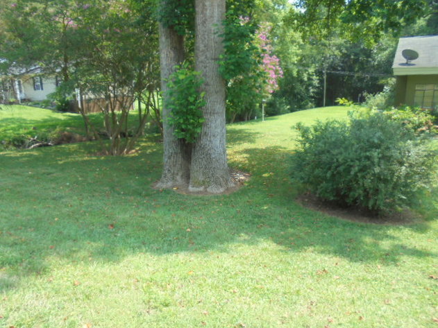 Image for REAL ESTATE  (UNDER CONTRACT) & ESTATE PERSONAL PROPERTY