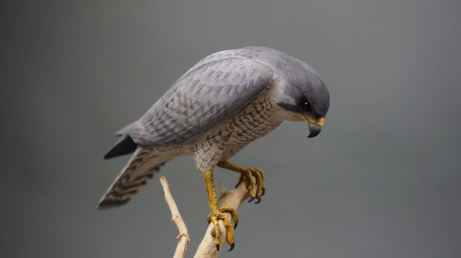 Image for Parkhurst Estate Online Auction Session Three