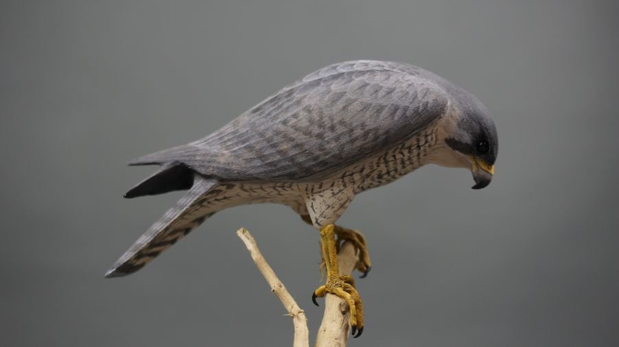 Image for Parkhurst Estate Online Auction Session Three